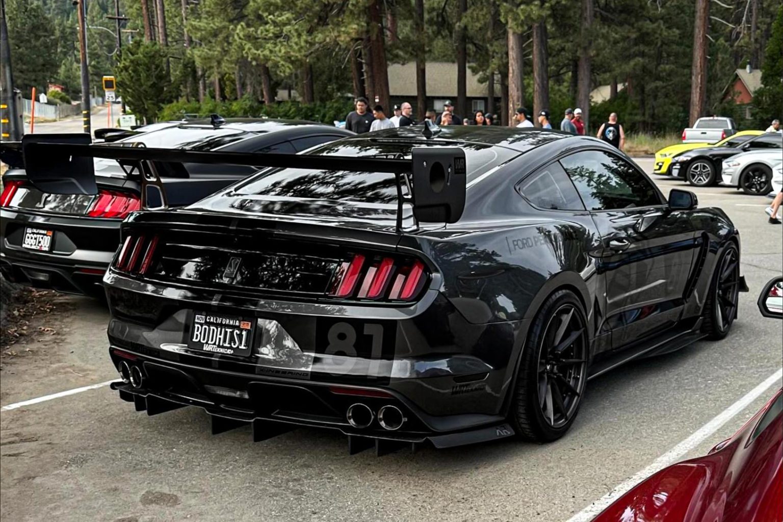 2020 Ford Shelby GT350 for Sale | Built for Backroads