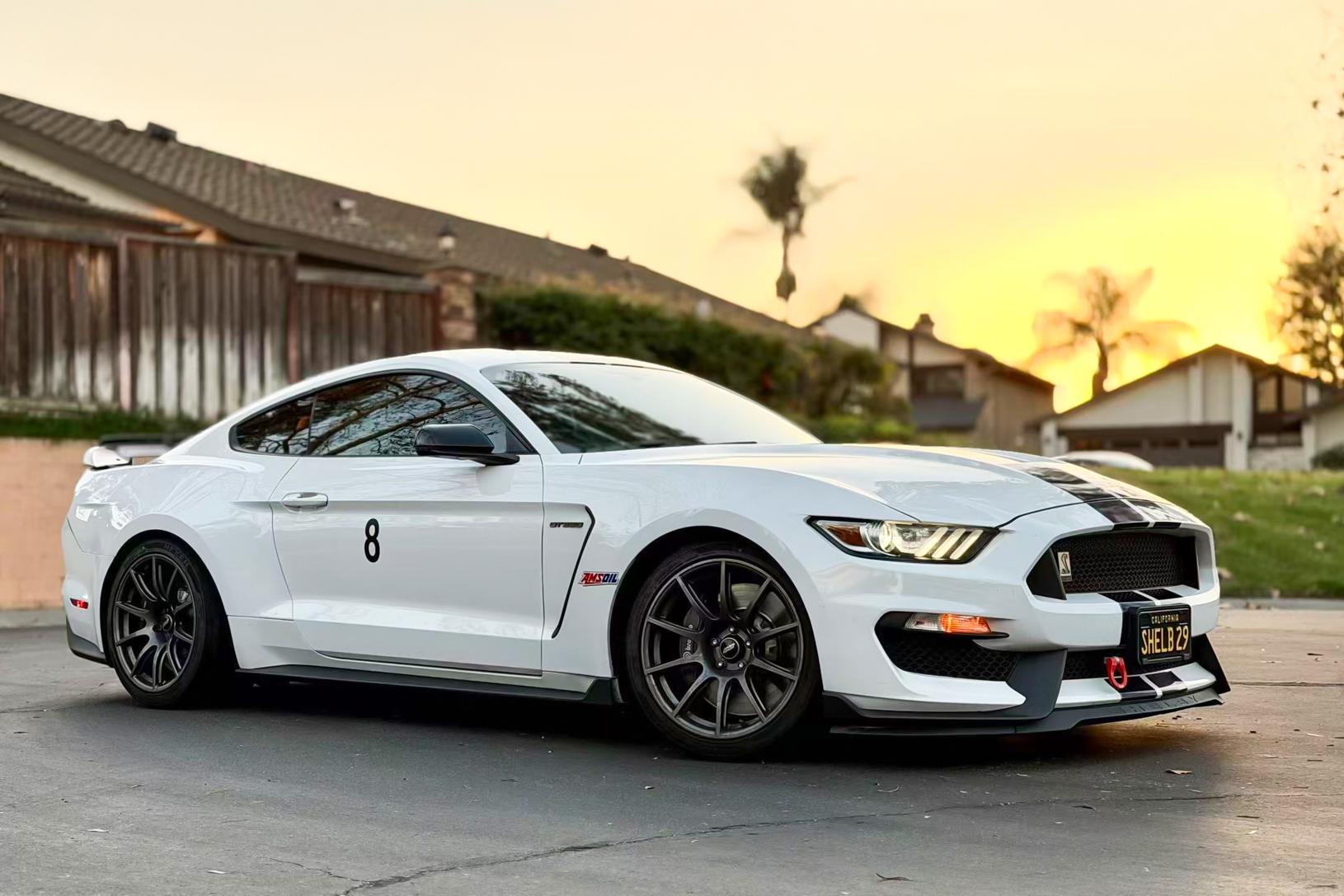 2019 Ford Shelby GT350