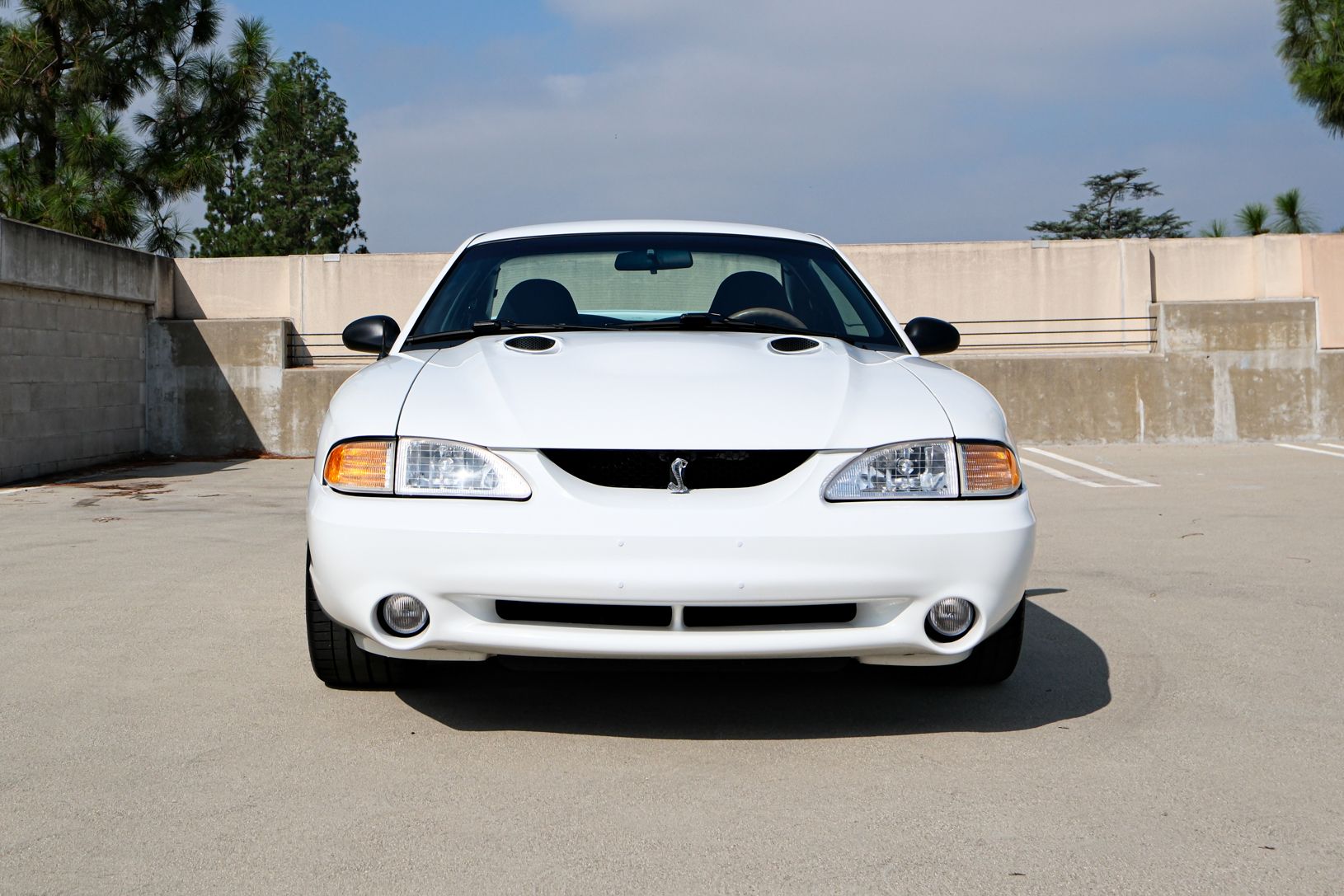 1997 Ford SVT Cobra Mustang