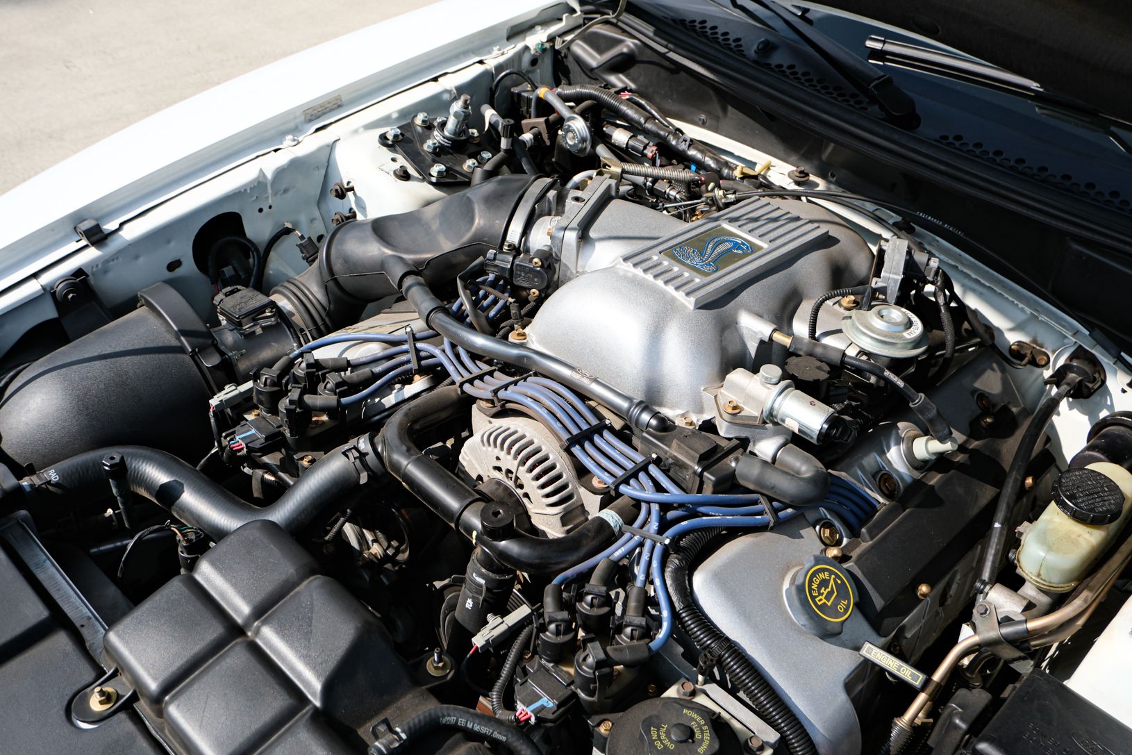 1997 Ford SVT Cobra Mustang