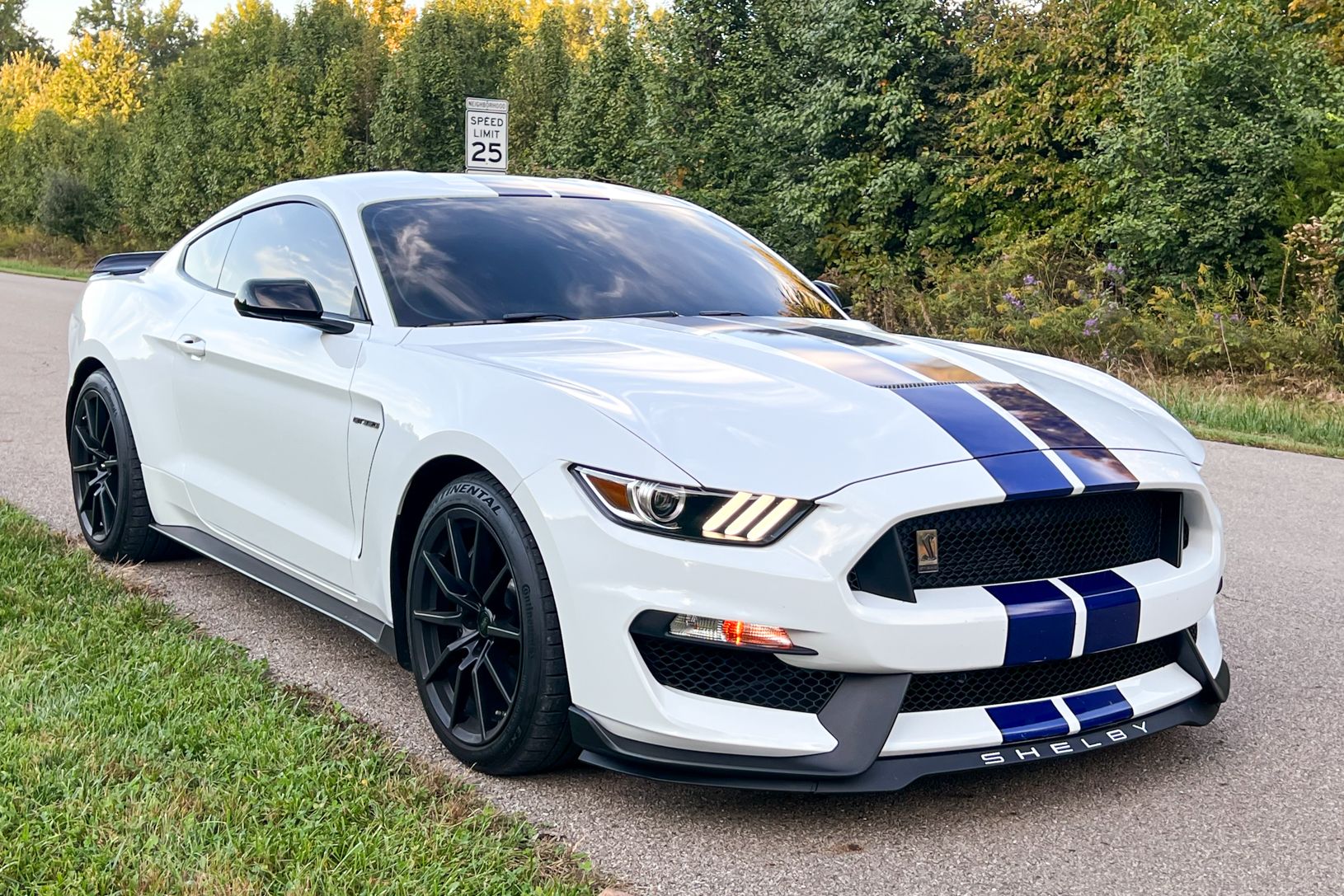 2016 Ford Shelby GT350