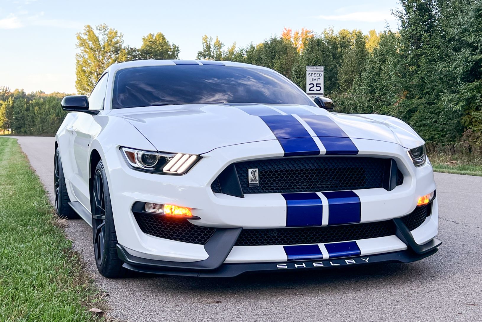 2016 Ford Shelby GT350
