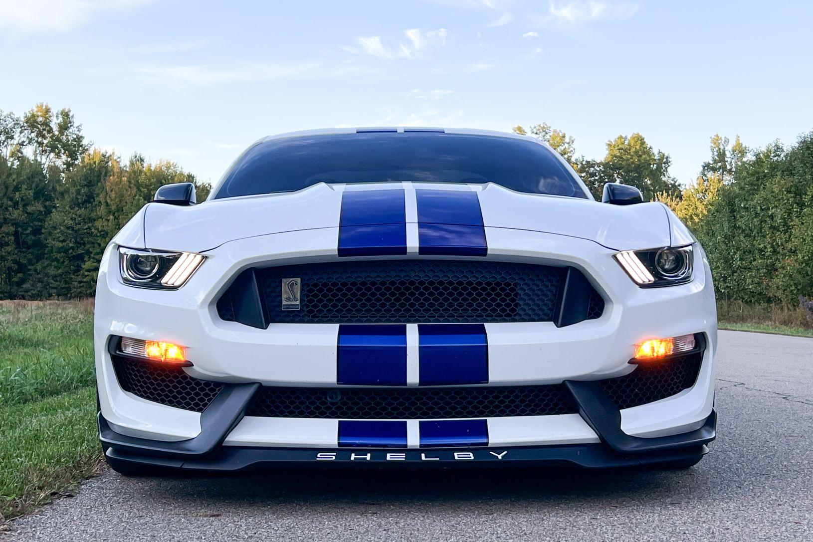 2016 Ford Shelby GT350
