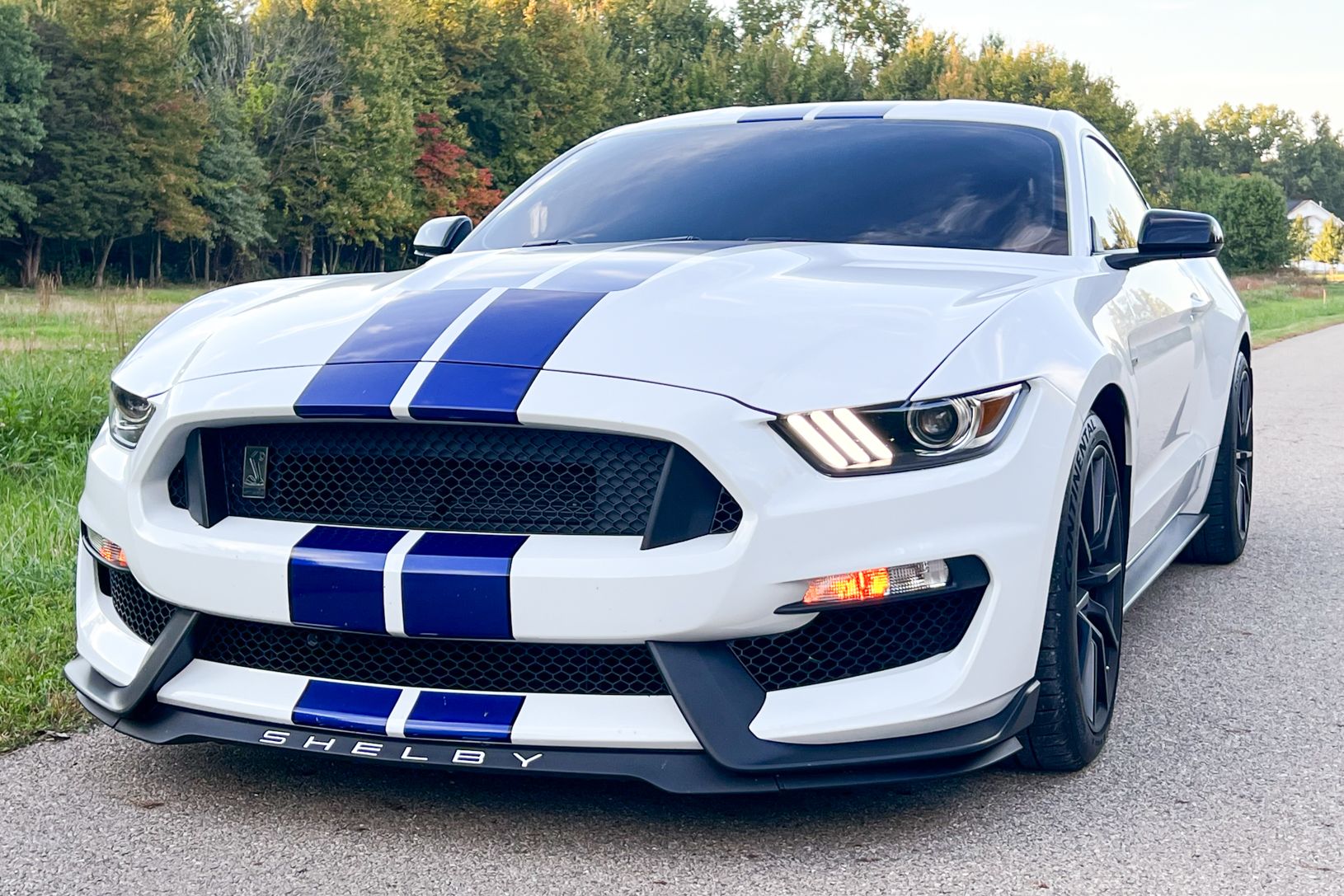 2016 Ford Shelby GT350