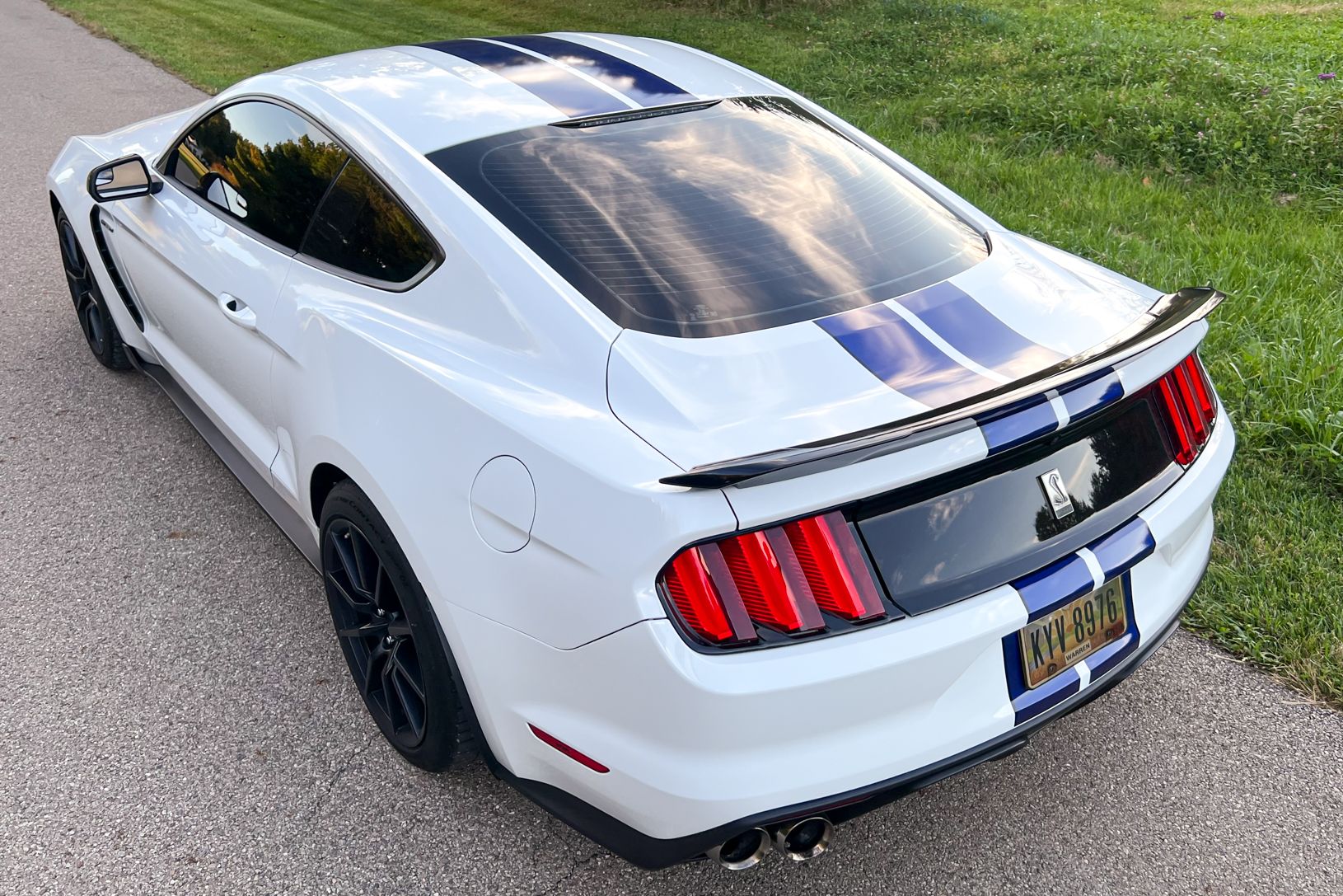 2016 Ford Shelby GT350