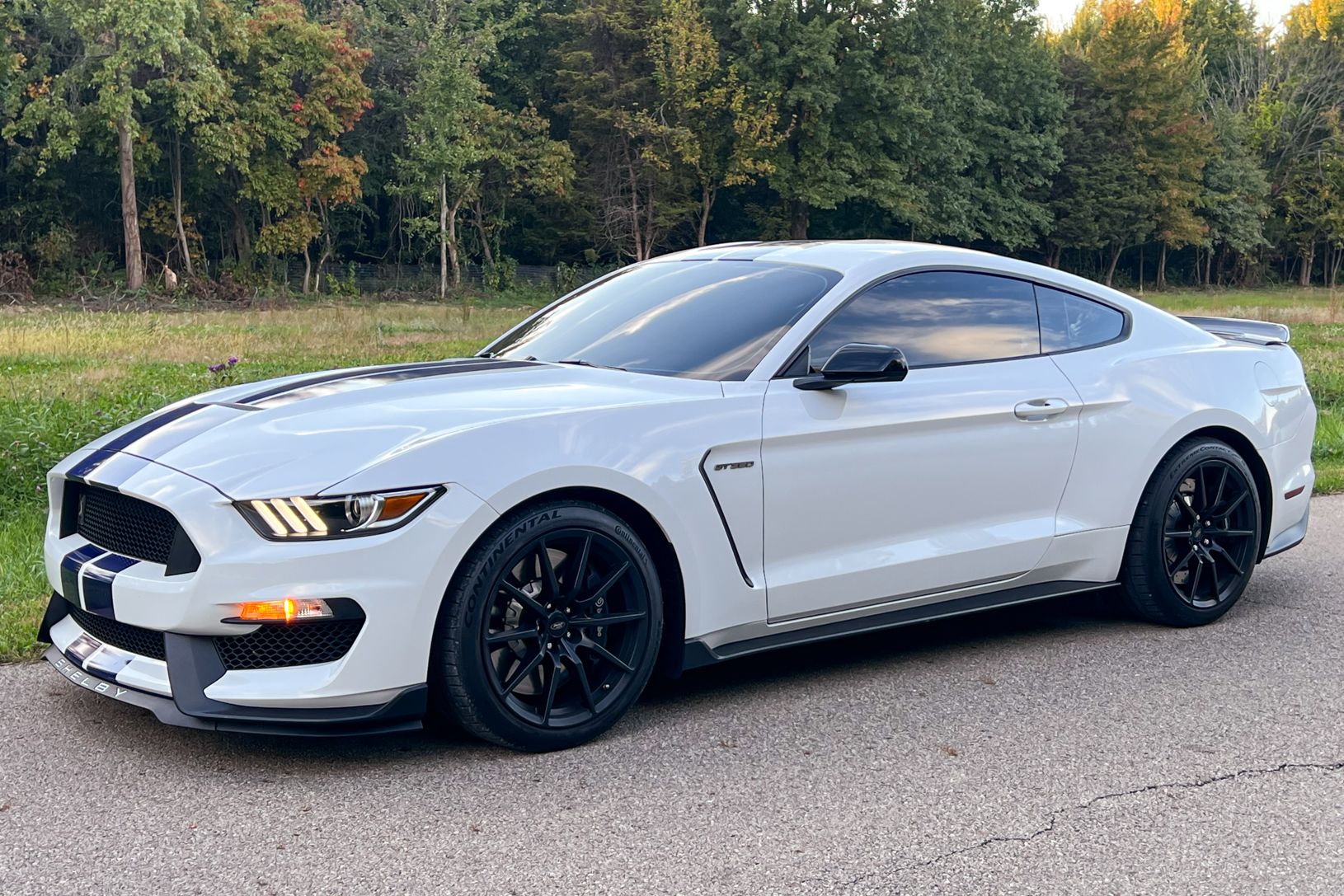 2016 Ford Shelby GT350