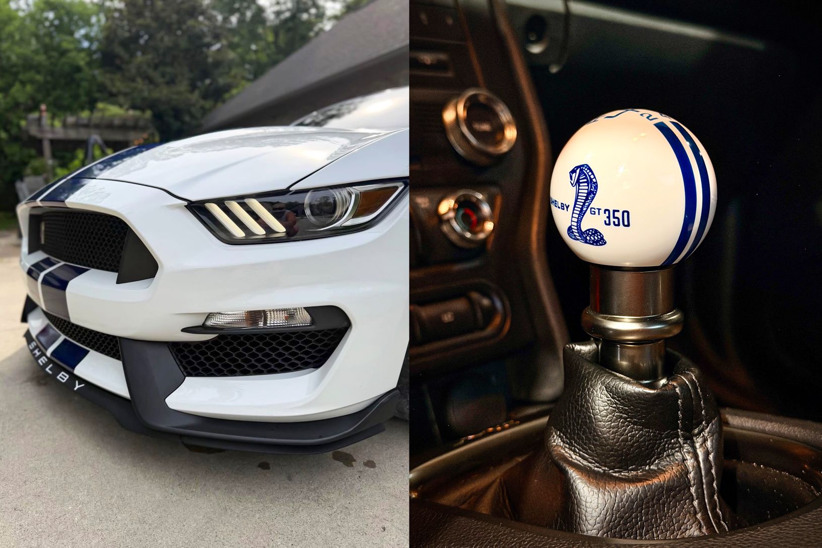 2016 Ford Shelby GT350