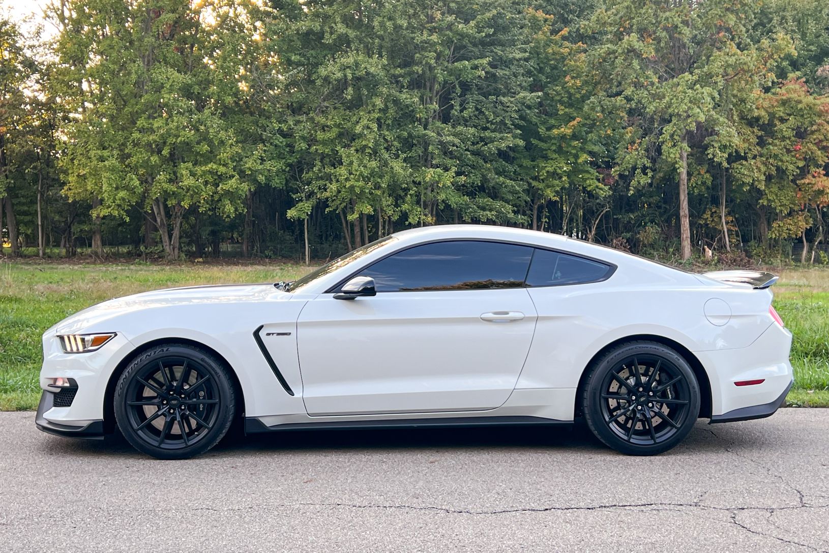 2016 Ford Shelby GT350