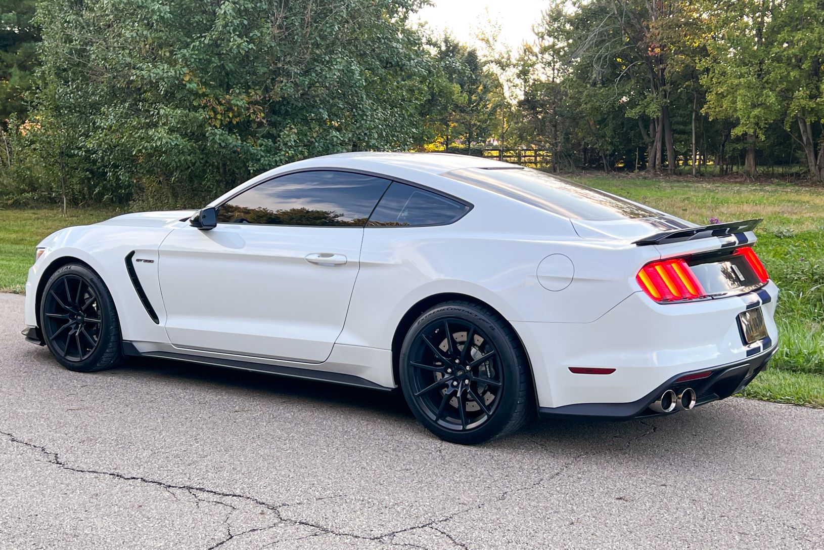 2016 Ford Shelby GT350
