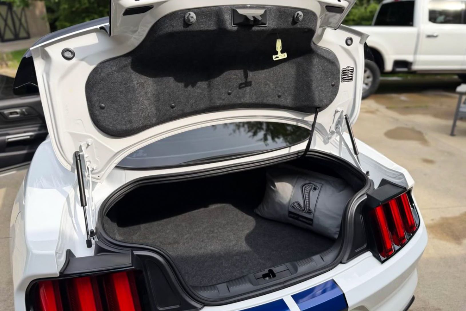 2016 Ford Shelby GT350