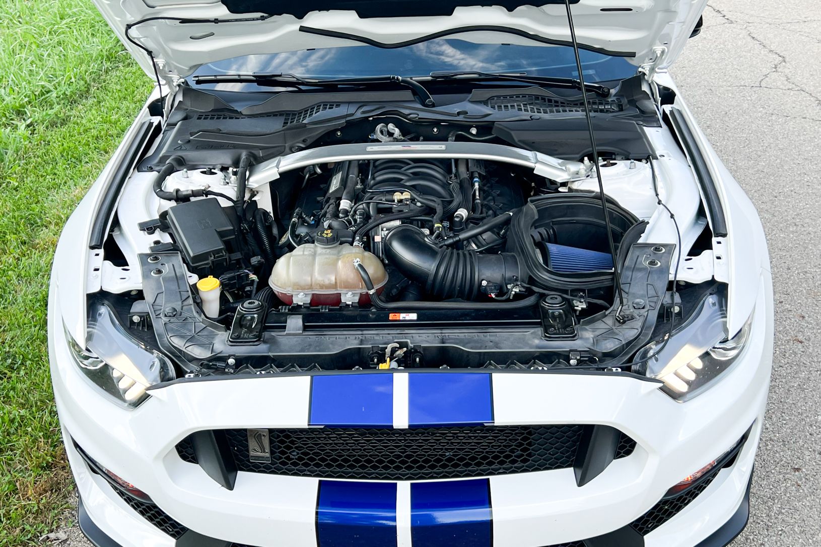 2016 Ford Shelby GT350