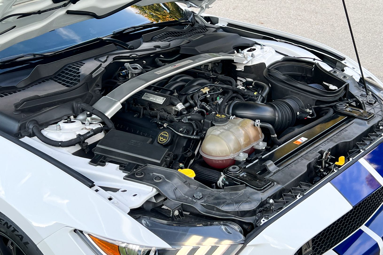 2016 Ford Shelby GT350