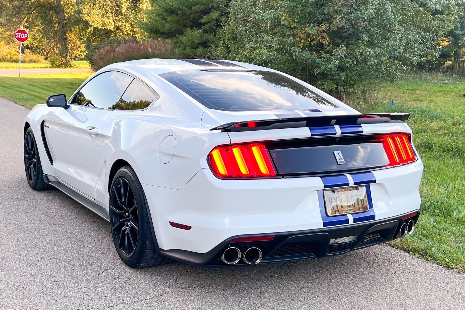 2016 Ford Shelby GT350