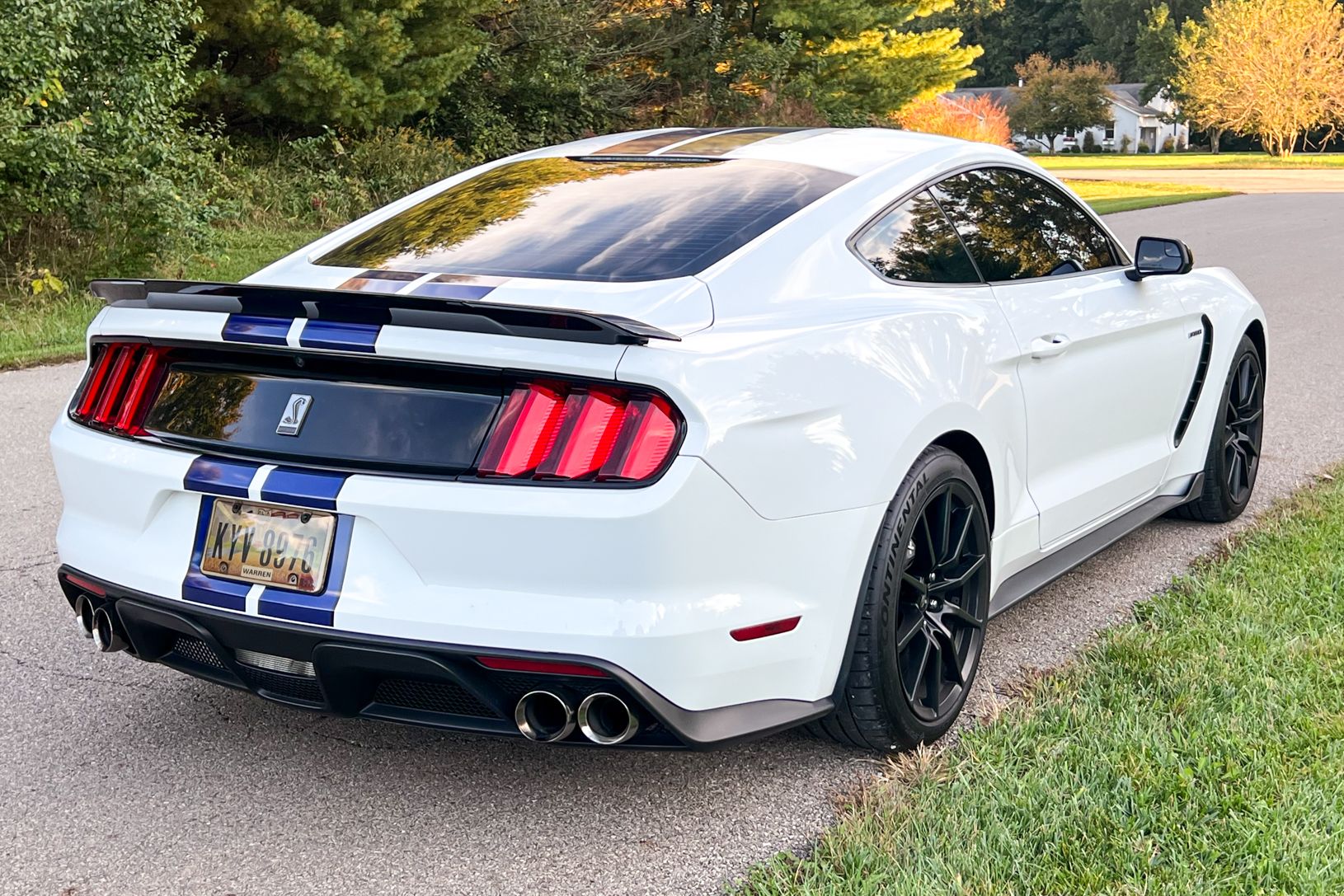 2016 Ford Shelby GT350